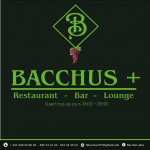 Logo Le BACCHUS PLUS Yaoundé