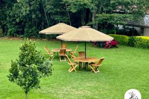 Muna Tree Cafe
